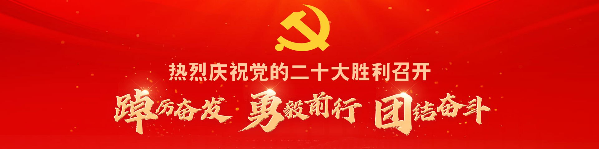 喜迎二十大